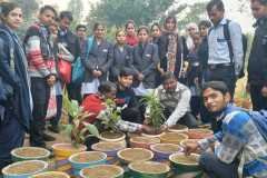Plantation